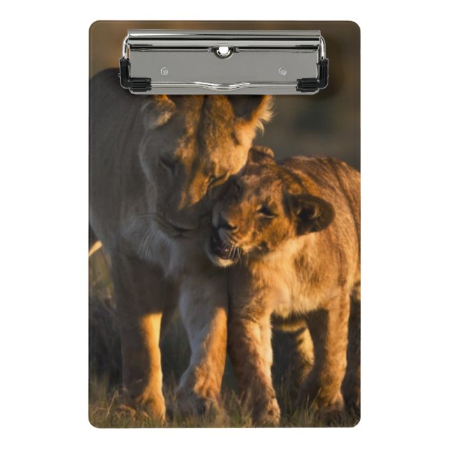 Lion Cub & Mother Mini Clipboard (Front)