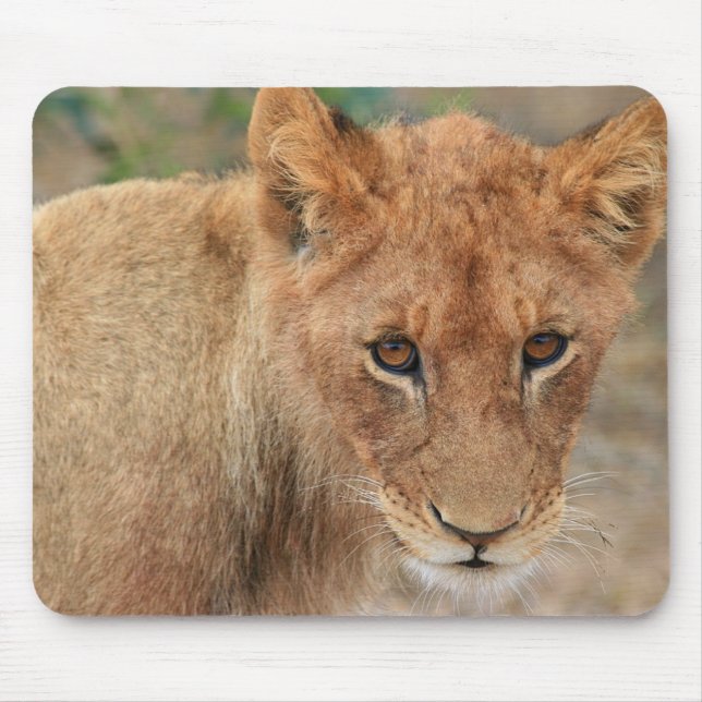 Lion Cub Mouse Mat (Front)