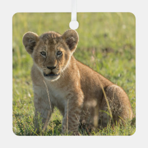 Lion Cub Personalise Name or Text & Date Christmas Metal Tree Decoration