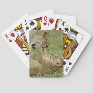 Lion Cub Playing Cards