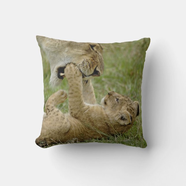 Lion Cub Playing Cushion (Front)