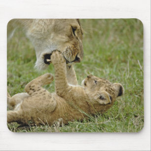 Lion Cub Playing Mouse Mat