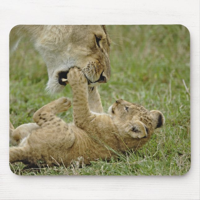 Lion Cub Playing Mouse Mat (Front)