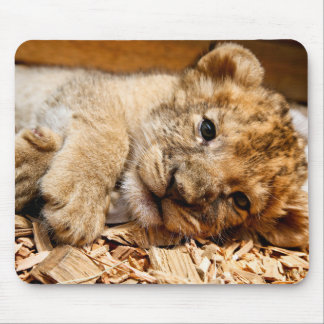 Lion cub relaxing mouse mat