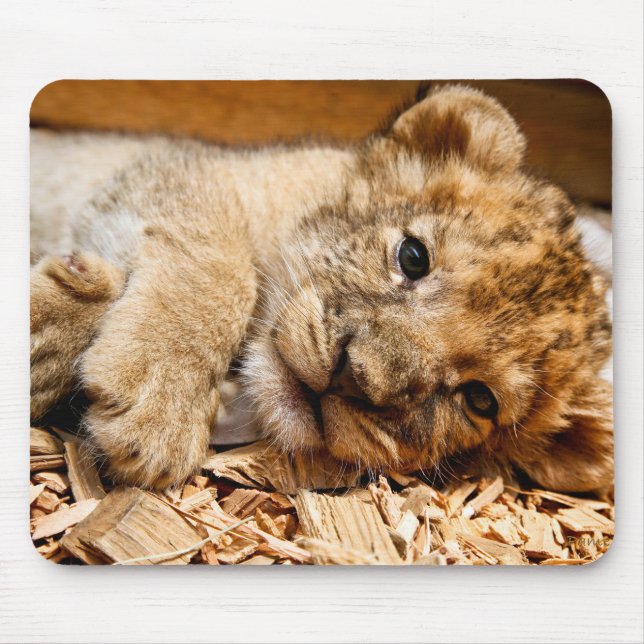 Lion cub relaxing mouse mat (Front)