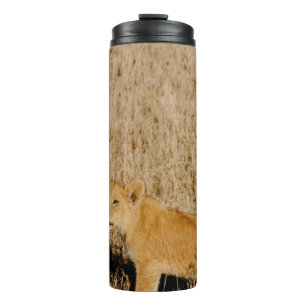 LION CUB WAITING FOR HIS MOTHER THERMAL TUMBLER