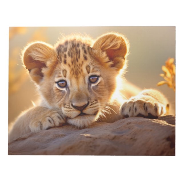 Lion Cub Wild Animal Tranquil Peaceful  Notepad (Front)