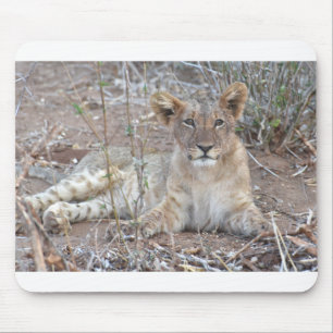 Lion Cub With A Sweet, Innocent Gaze. Mouse Mat