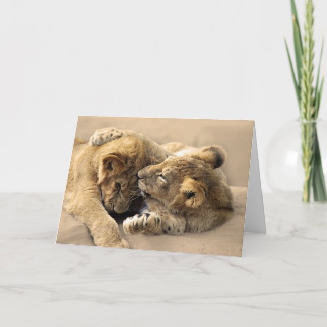 Lion cubs best friends card (Front)