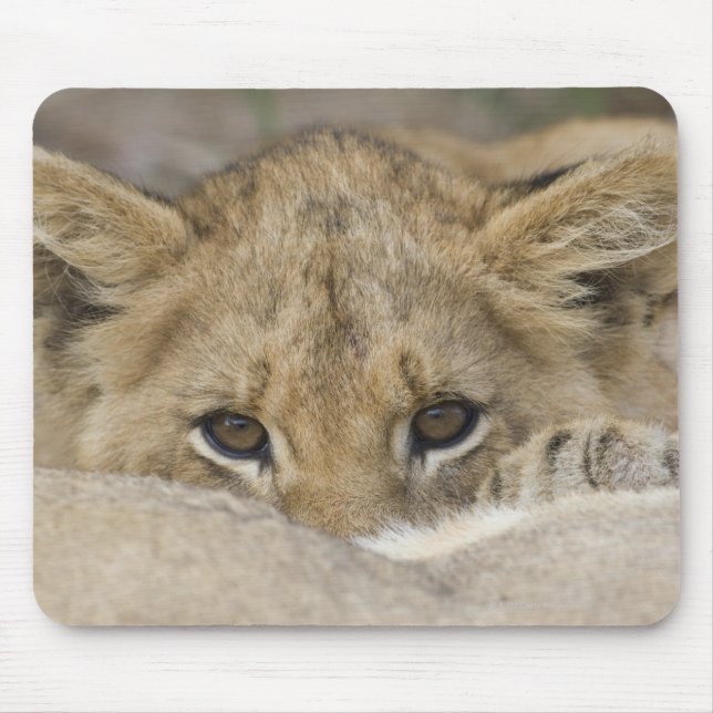 Lion Cub's Face Mouse Mat (Front)