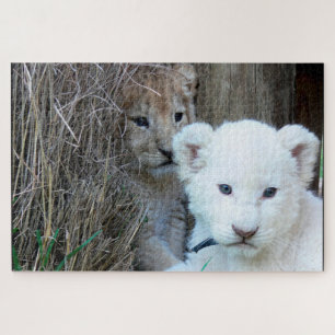 Lion Cubs Jigsaw Puzzle
