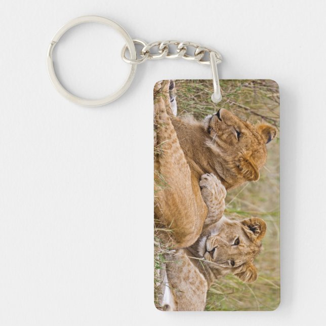Lion Cubs Lounging Key Ring (Front)