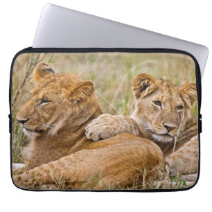 Lion Cubs Lounging Laptop Sleeve