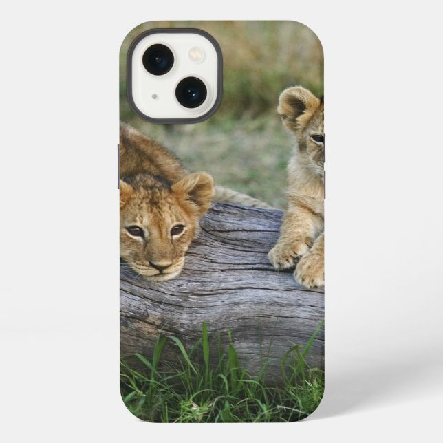 Lion Cubs on Log iPhone Case (Back)