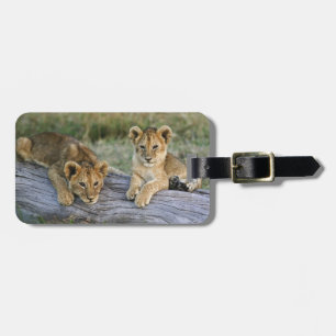 Lion Cubs on Log Luggage Tag