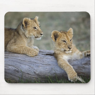 Lion Cubs on Log Mouse Mat