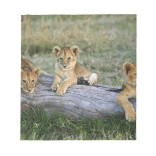 Lion Cubs on Log Notepad