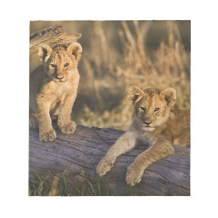 Lion Cubs on Log Notepad