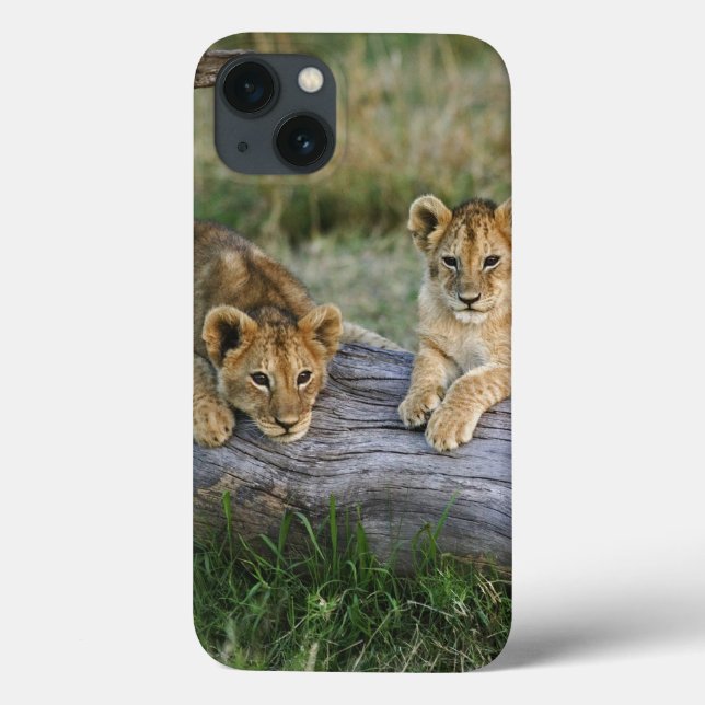 Lion cubs on log, Panthera leo, Masai Mara, 2 Case-Mate iPhone Case (Back)