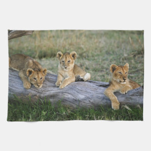 Lion Cubs on Log Tea Towel