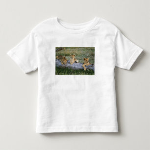 Lion Cubs on Log Toddler T-Shirt