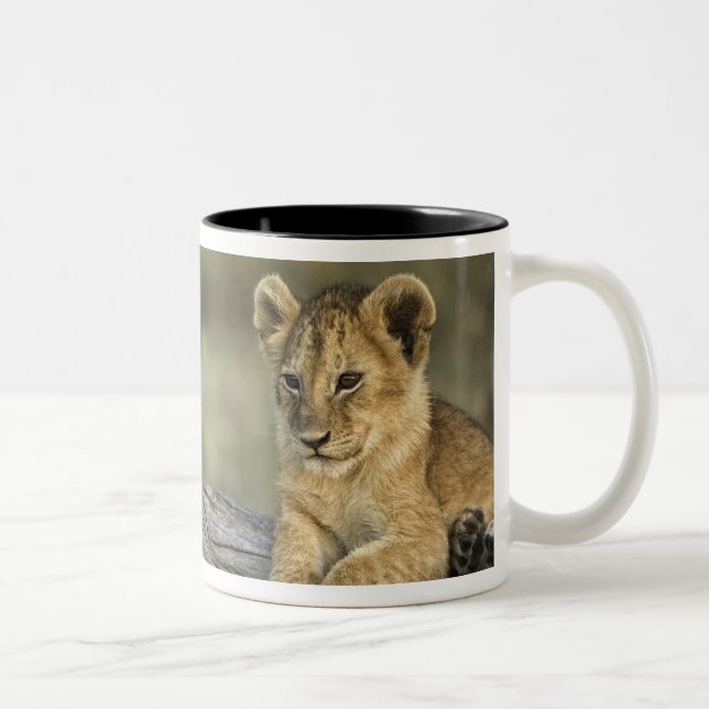 Lion Cubs on Log Two-Tone Coffee Mug (Right)