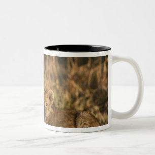Lion Cubs on Log Two-Tone Coffee Mug
