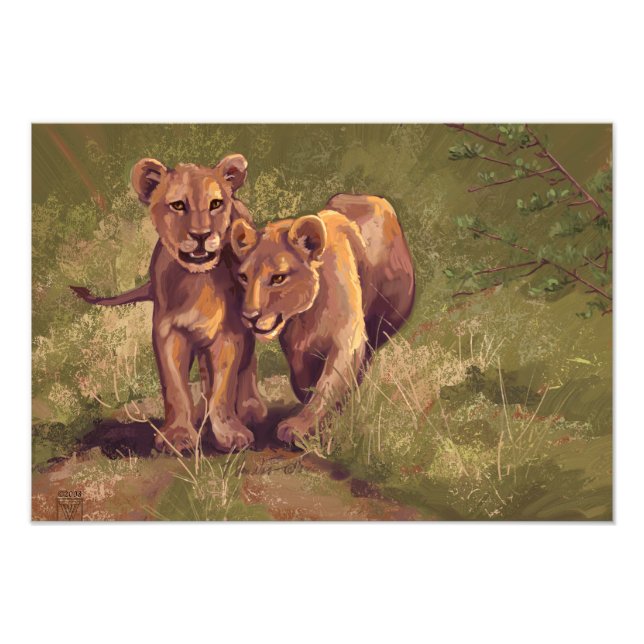 Lion Cubs Photo Print (Front)