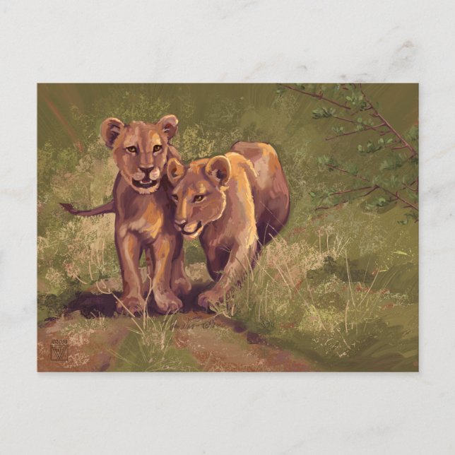 Lion Cubs Postcard (Front)