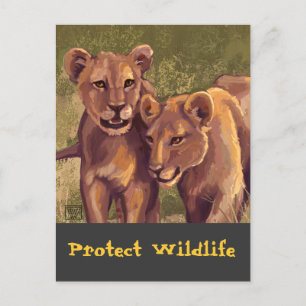 Lion Cubs Protect the Wild Postcard