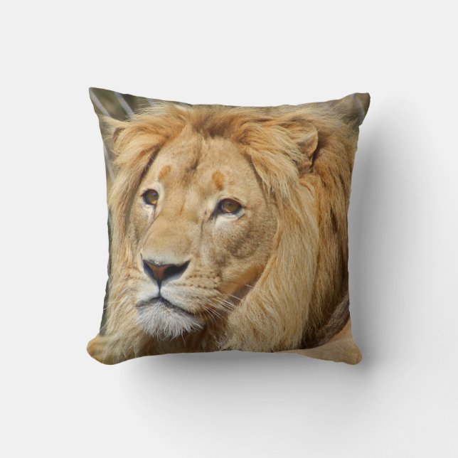Lion Cushion (Front)