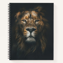Lion Dark Background Photo