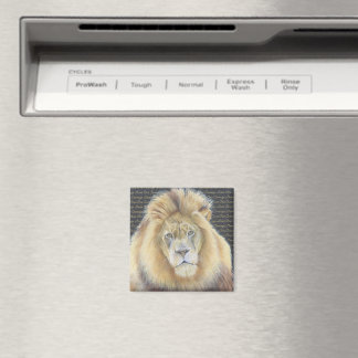 Lion design magnet