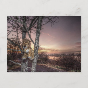 Lion Doll at Dawn Postcard
