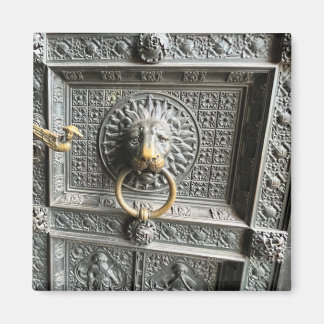 Lion door detail magnet