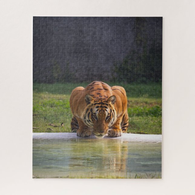 Lion Drinking Water Big Cat Wildlife Jigsaw Puzzle (Vertical)