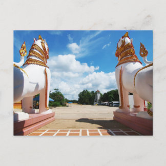 Lion Eye View Postcard