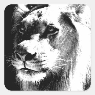 Lion Eyes Square Sticker