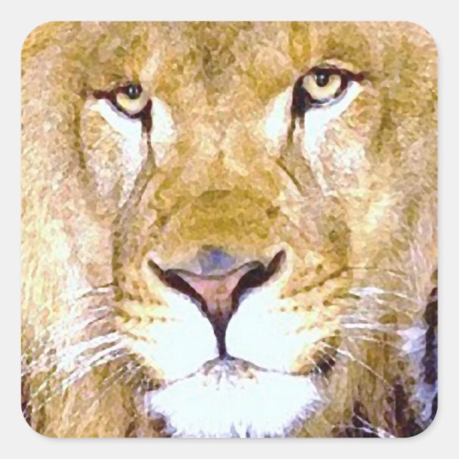 Lion Eyes Square Sticker (Front)