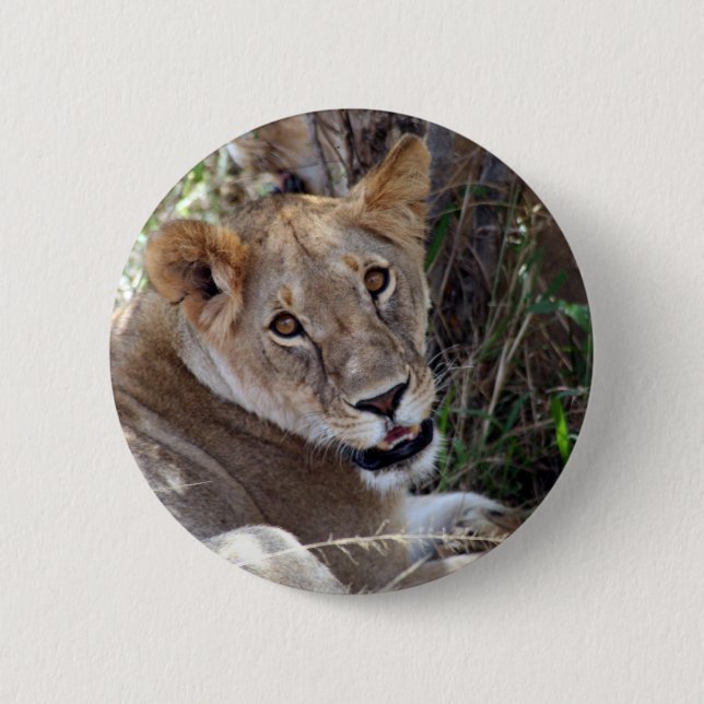 lion face 6 cm round badge (Front)
