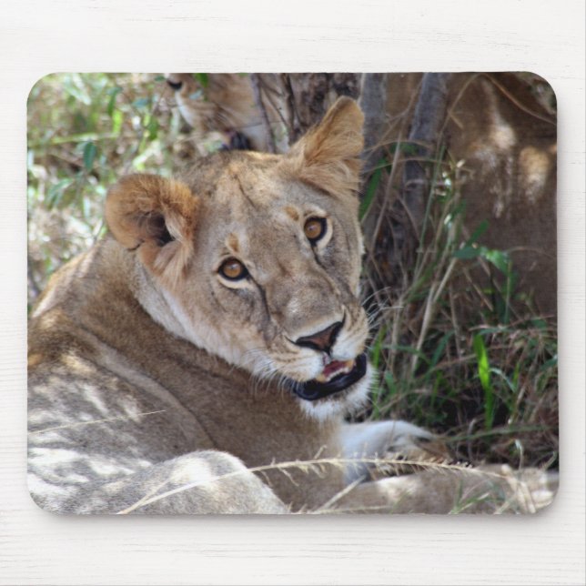 lion face mouse mat (Front)