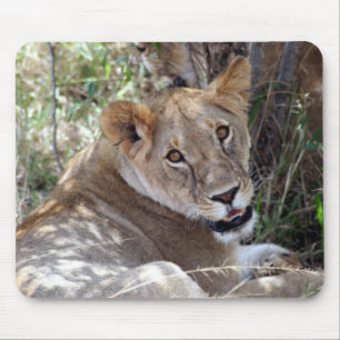 lion face mouse mat