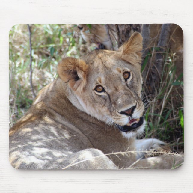 lion face mouse mat (Front)