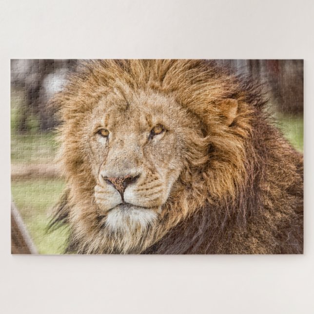 Lion Face Puzzle Large (Horizontal)