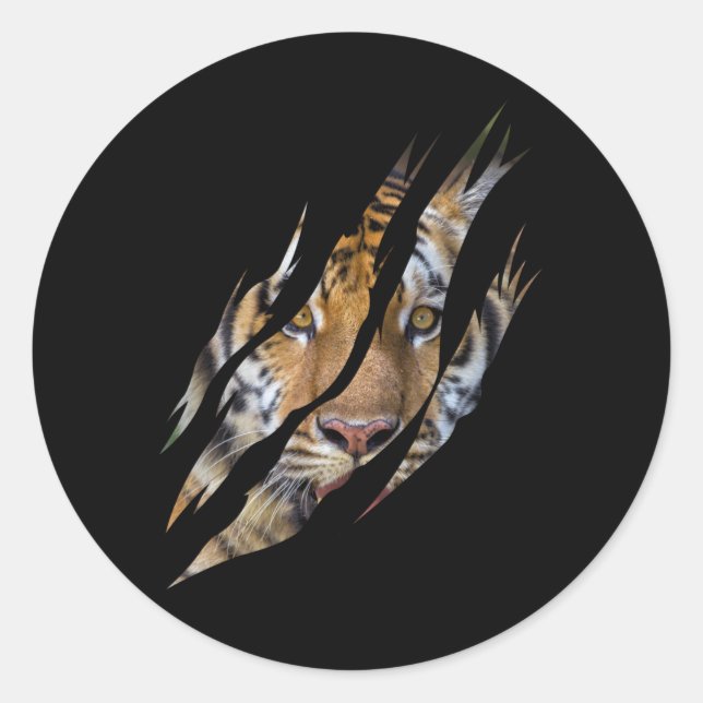 Lion Face Tiger Safari Claw Torn Classic Round Sticker (Front)