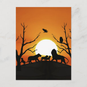 Lion family at sunset Africa Postcard