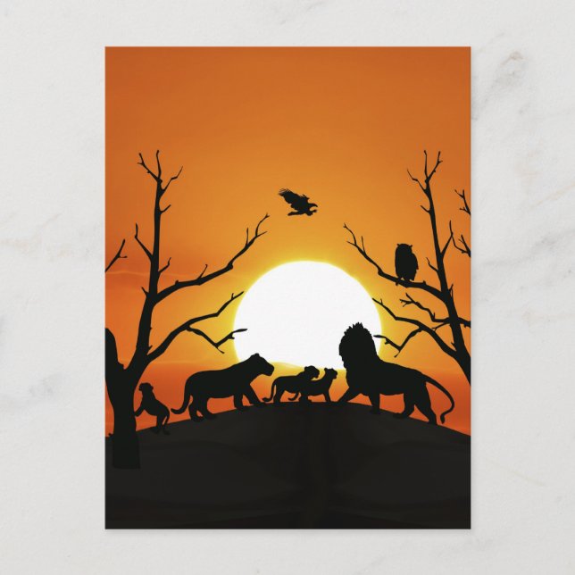 Lion family at sunset Africa Postcard (Front)
