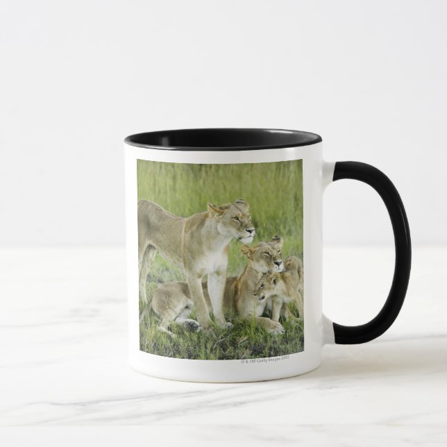 Lion family in Kenya, Africa Mug (Right)