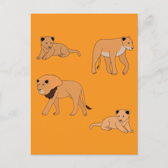 Lion Family Postcard (Front)