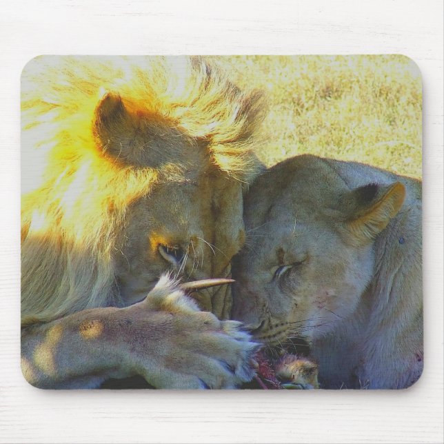 Lion Feast Wildlife Photography Mouse Pad (Front)